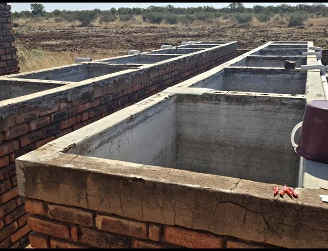 21HA FARM FOR SALE IN MOPANE
